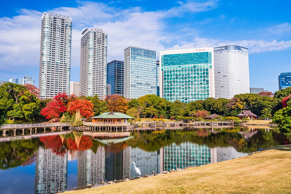 Quarterly Report for Premium Condominiums in Tokyo | 3Q FY 2024